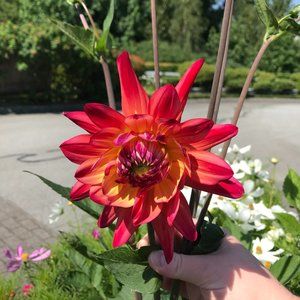 Cleaning out my closet!